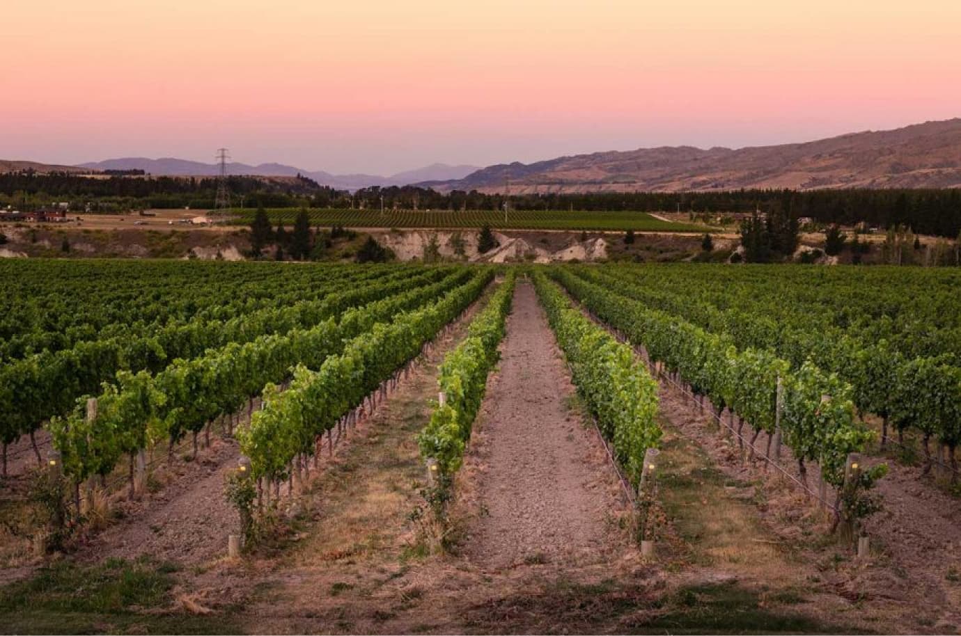 Wine shed overview